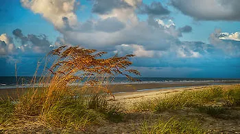 Disney'S Hilton Head Island Resort 3*,